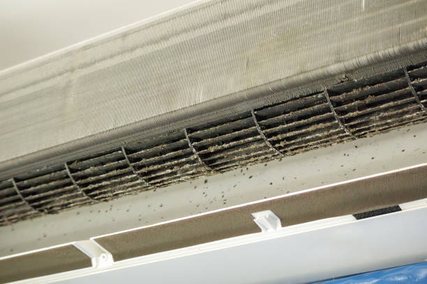 Best Ductwork Cleaning Services  in Berryville, VA
